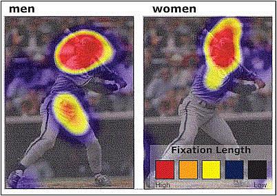 men fixate on baseball player George Brett’s head and groin, while women mainly fixate on his head