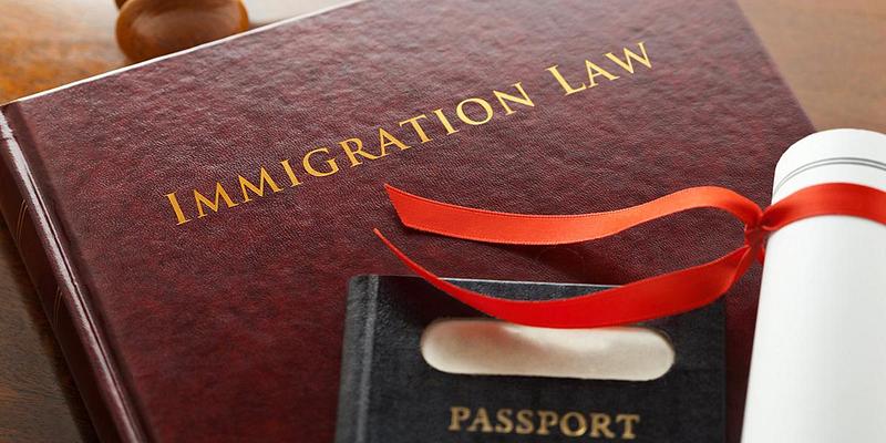 Passport and immigration law book
