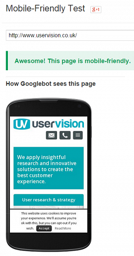 Results of User Vision site showing it is mobile friendly 